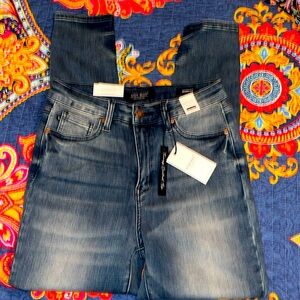 Judy Blue High Rise Skinny